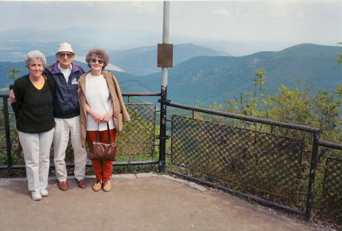 The magnificant view of the Danube from the lookout point of Dobogoko, May 1998