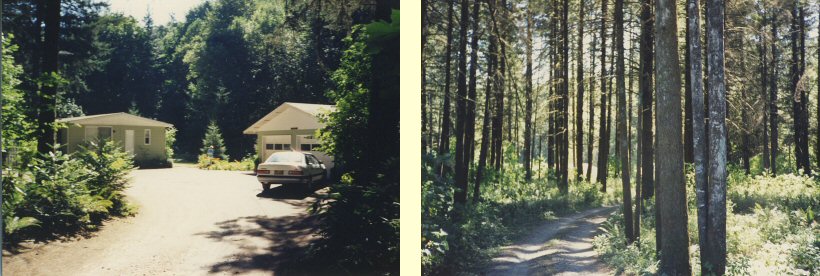 Our Enchanted Forest in Stayton, Oregon. August 1988.